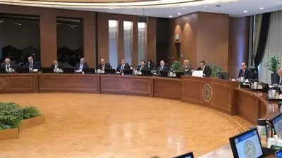 إلغاء تخصيص عددٍ من المناطق الصناعية وإعادتها إلى أصلها كأملاك دولة خاصة