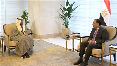 اليحيا: دعم الاستثمارات الكويتية في مصر أحد أولويات مجلس الوزراء الكويتي