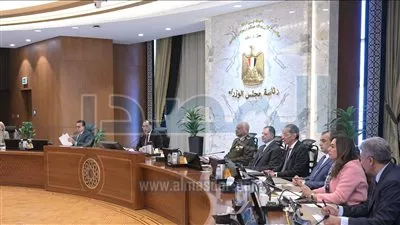 مجلس الوزراء يُوافق على الرؤية المقترحة لتنظيم سوق السيارات لعام 2025