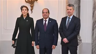 الرئيس السيسي يلتقي فريدريك العاشر ملك الدنمارك