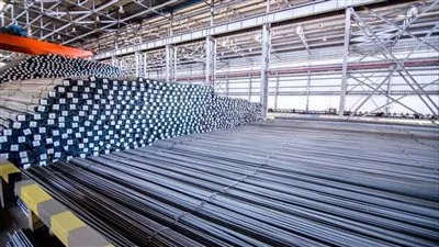 «حديد عز» تقرر الشطب الاختياري من البورصة المصرية