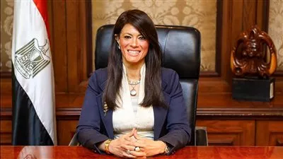 مؤسسات التمويل الدولية تستثمر 890 مليون دولار بشركات القطاع الخاص المصرية خلال نوفمبر