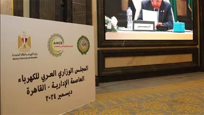 محمود عصمت: الربط «المصري السعودي الأردني» نواة لسوق عربية مشتركة للكهرباء