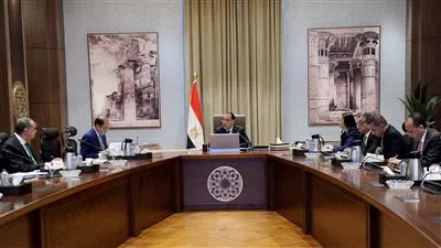 الحكومة: تسوية أوضاع 19.7 ألف سيارة لذوي الهمم بـ2.5 مليار جنيه