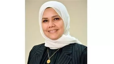 الضرائب: إتاحة النماذج الخاصة بتسوية المنازعات الضريبية على البوابة الإلكترونية