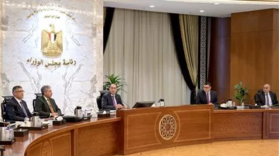 «مدبولي» يتابع إجراءات طرح تطوير منطقة منف الأثرية على مكتب استشاري عالميّ