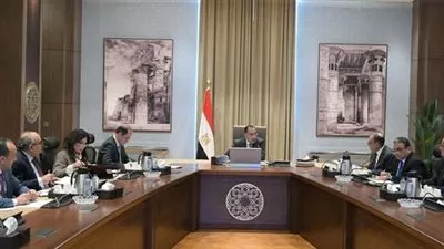 الحكومة تبحث تنظيم مؤتمر لعرض الفرص المتاحة بمصر أمام المستثمرين في امريكا