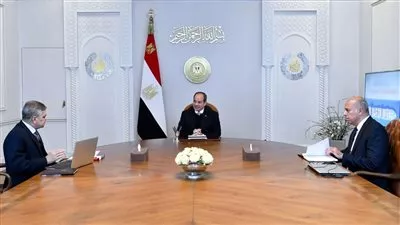 السيسي: التحديات الإقليمية كبدت مصر 7 مليارات دولار من إيرادات قناة السويس