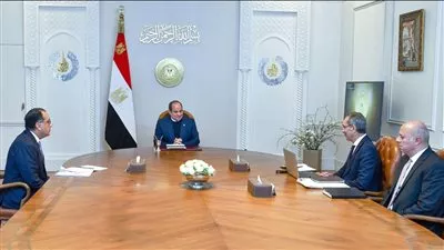 الرئيس السيسي يوجه بتشجيع الاستثمار في قطاع الاتصالات وتكنولوجيا المعلومات