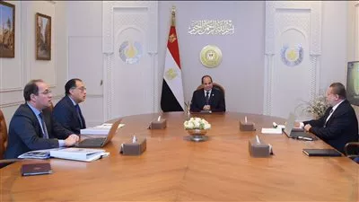 الرئيس السيسي يوجه باستمرار التنسيق بين البنك المركزي و«المالية» لتعزيز الاستقرار الاقتصادي