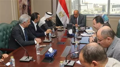 وزير الكهرباء يبحث مع تحالف «مصدر -حسن علام- إنفينيتي» تسريع تنفيذ المشروعات