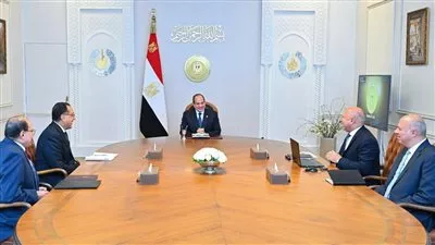 الرئيس السيسي يوجه بتسريع وتيرة تنفيذ المحاور اللوجستية التنموية المتكاملة