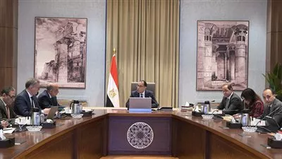 الحكومة: إضافة منتجات بترولية جديدة سيوفر 1.5 مليار دولار من الفاتورة الاستيرادية 