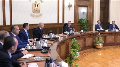 الحكومة: الإفراج عن بضائع بقيمة 79 مليار دولار منذ يناير 2024