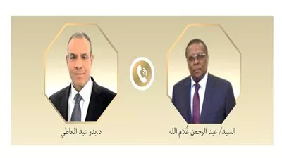 وزير الخارجية يؤكد دعم مصر لجهود الحفاظ على الأمن والاستقرار في تشاد