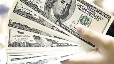 سعر الدولار في البنوك المصرية اليوم السبت 11 يناير 2025