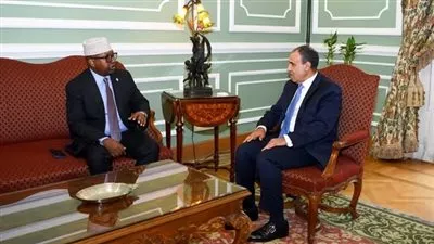 وزير الخارجية والهجرة يبحث مع نظيره الصومالي تعزيز التعاون المشترك 