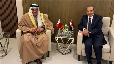وزيرا خارجية مصر والبحرين يؤكدان أهمية التكاتف الإقليمي والدولي لاستعادة الاستقرار بسوريا