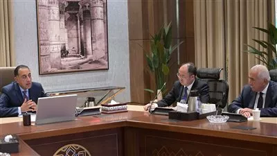 أكبر شركة صينية لتصنيع إطارات السيارات تخطط لإقامة مشروعين جديدين في مصر