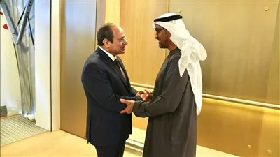 الرئيسان المصري والإماراتي يؤكدان ضرورة إدخال المساعدات الإنسانية بالكميات الكافية لأهالي غزة