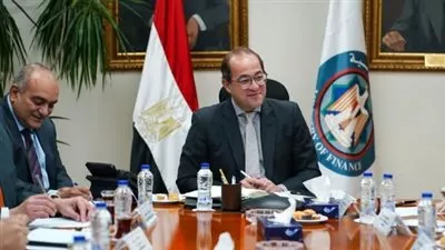 وزير المالية: صرف 50% من مستحقات المصدرين نقداً على مدار 4 سنوات