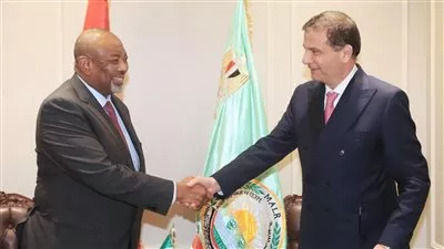 مصر ونيجيريا تبحثان سبل تعزيز التعاون بمختلف المجالات الزراعية 