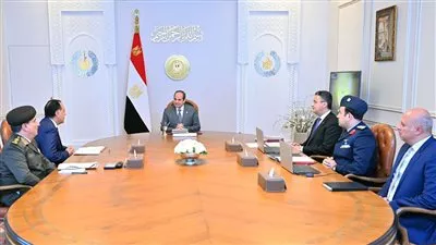 الرئيس السيسى يوجه بزيادة المخزون الاستراتيجي من السلع والتوسع بشبكات الحماية الإجتماعية