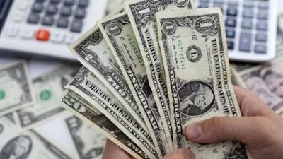 سعر الدولار في البنوك المصرية اليوم الاثنين 27 يناير 2025