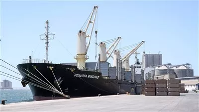 تداول 17 ألف طن و1236 شاحنة بضائع بموانئ البحر الأحمر 