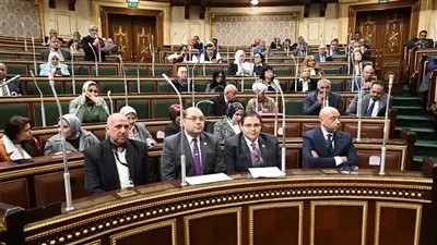 مجلس النواب يوافق نهائياً على مشروع قانون الإجراءات الجنائية الجديد