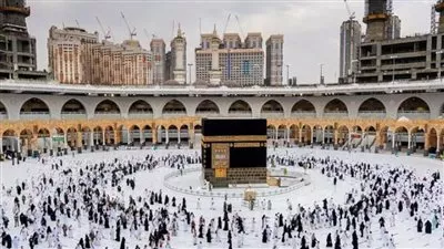 وزارة الداخلية تعلن ضبط 4 شركات سياحة بدون ترخيص