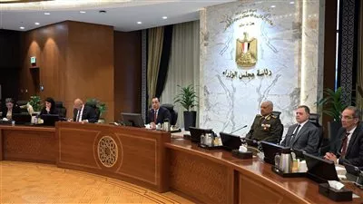 رئيس الوزراء: بدء اجتماعات اللجان الاستشارية الأسبوع المقبل