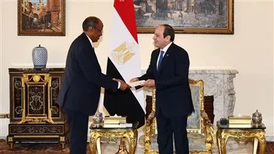 الرئيس السيسي يبحث التعاون بين مصر وجيبوتي لاستعادة الأمن بمضيق باب المندب