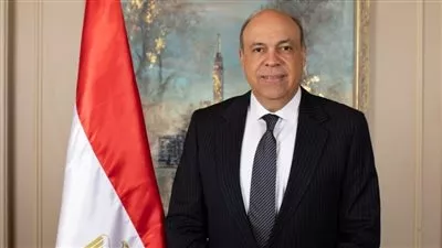 وزير الطيران يبحث فرص مشاركة القطاع الخاص البريطاني بمجالات النقل الجوي المصري