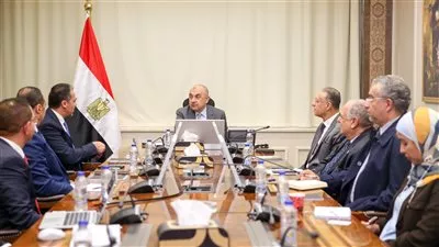 وزير قطاع الأعمال يبحث مع «سيمنس» تعزيز استخدام الحلول التكنولوجية بالشركات التابعة