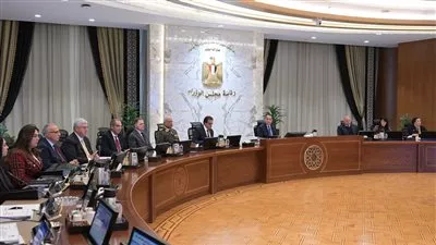 الحكومة توافق على 5 مشروعات اتفاقيات التزام بترولية بقيمة 225.3 مليون دولار 