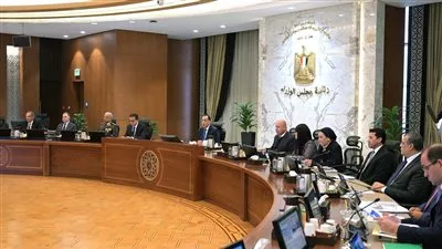 تخصيص قطع أراضٍي لبعض الشركات بنظام البيع بالدولار من خارج البلاد