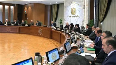 تخصيص قطع أراضي لتنفيذ توسعات ميناء سفاجا الكبير