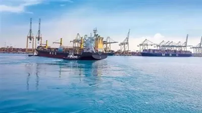 فرض رسوم إغراق على واردات «سلفونايتد نفثالين فورماليدهايد» الروسية والصينية 