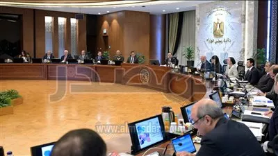 هيئة التأمين الصحي الشامل تحقق 29.3 مليار جنيه إيرادات خلال 2024