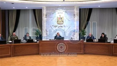 مجلس الوزراء يوافق على اتفاقية شراء الطاقة لمشروع أكوا باور في مصر