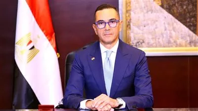 مصر تخطط لنقل شركات حكومية إلى الصندوق السيادي