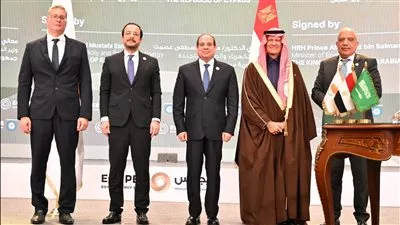 مصر تتعاون مع السعودية في تأسيس برنامج وطني لتحسين كفاءة استخدام الطاقة