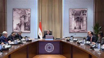 رئيس الوزراء يتابع خطوات تنفيذ مشروع الإصلاح الهيكلي الشامل للهيئات الاقتصادية