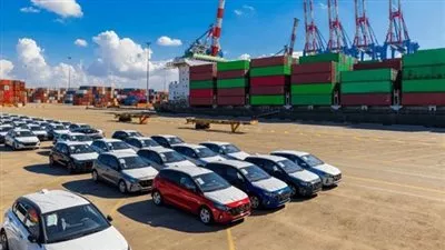 مصلحة الجمارك تصدر تعليمات جديدة بشأن سيارات ذوي الإعاقة المكدسة بالموانئ