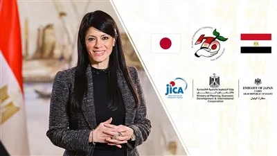 «المشاط»: نعمل على توسيع الشراكة المصرية اليابانية لزيادة آليات التمويل للقطاع الخاص
