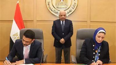  «أميا باور» الإماراتية تنشئ محطتي تخزين طاقة في مصر بقدرة 1500 ميجاوات