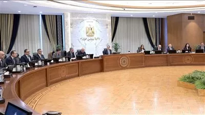 رئيس الوزراء يعلن افتتاح المتحف المصري الكبير 3 يوليو المقبل