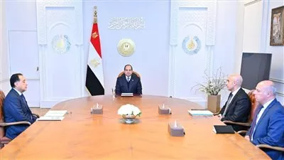 السيسي يؤكد أهمية الإستفادة من الشراكات مع القطاع الخاص لتحسين جودة التعليم