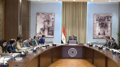 رئيس الوزراء يستعرض موقف منظومة تداول الأقطان.. ويوجه بسرعة سداد مستحقات المزارعين